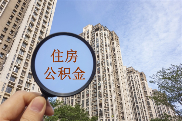 公积金怎么一次性全部提取-桓台公积金代办平台